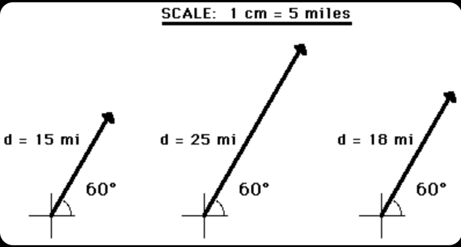Multiple vectors representing their magnitude and direction